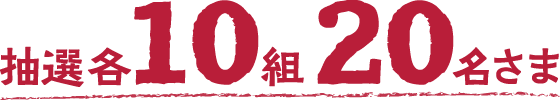 抽選各10組20名さま